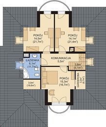 Poddasze projektu - APS 251