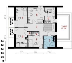 Poddasze projektu - Ilyana