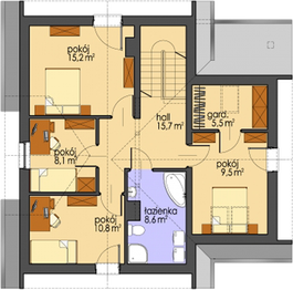 Poddasze projektu - AH 010