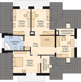 Poddasze projektu - APS 252