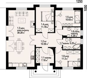 Parter projektu - Antonin