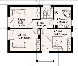 Poddasze projektu - Brzoza średnia