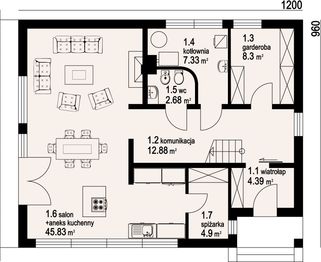 Parter projektu - Cieszyn 31 plus