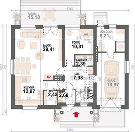 Parter projektu - Dżin N