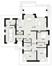 Parter projektu - Driada