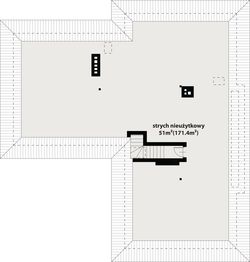 Poddasze projektu - Driada 3