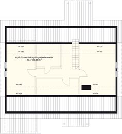 Poddasze projektu - Modrzewiowy