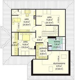 Poddasze projektu - Natalia