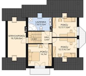 Poddasze projektu - APS 193 NEW