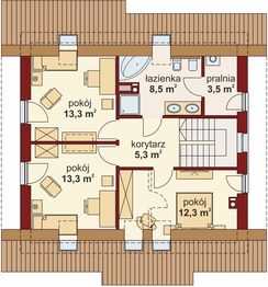 Poddasze projektu - Domena 202