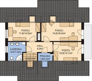 Poddasze projektu - APS 205 NEW
