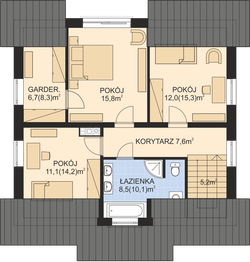 Poddasze projektu - APS 196 NEW
