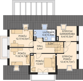 Poddasze projektu - APS 229 NEW