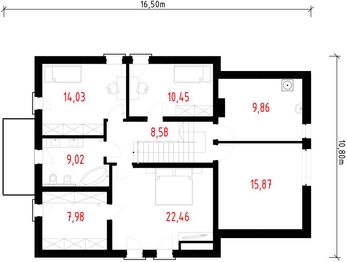 Poddasze projektu - Borneo