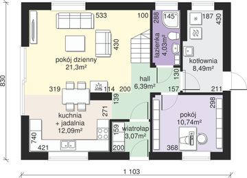 Parter projektu - Dom przy Alabastrowej 60