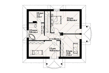 Poddasze projektu - Borków 2