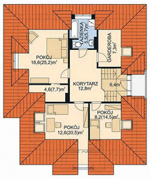 Poddasze projektu - APS 017