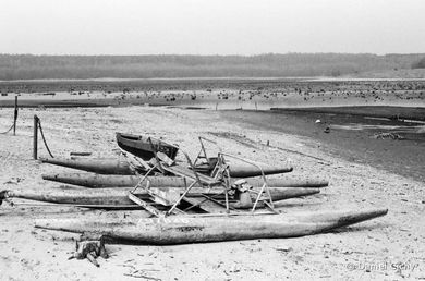 Cichy, Piła