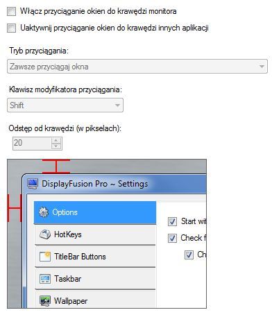 DisplayFusion Pro - ustawienia okien