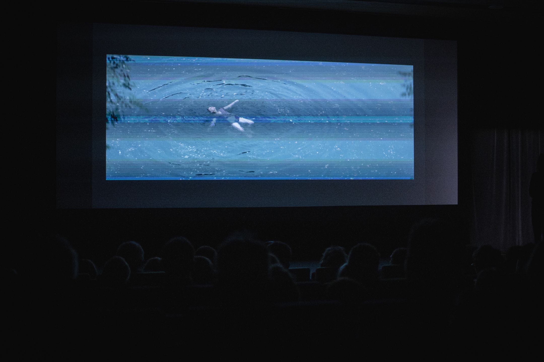 WOAK zapraszam na festiwalu "Szklarnia"