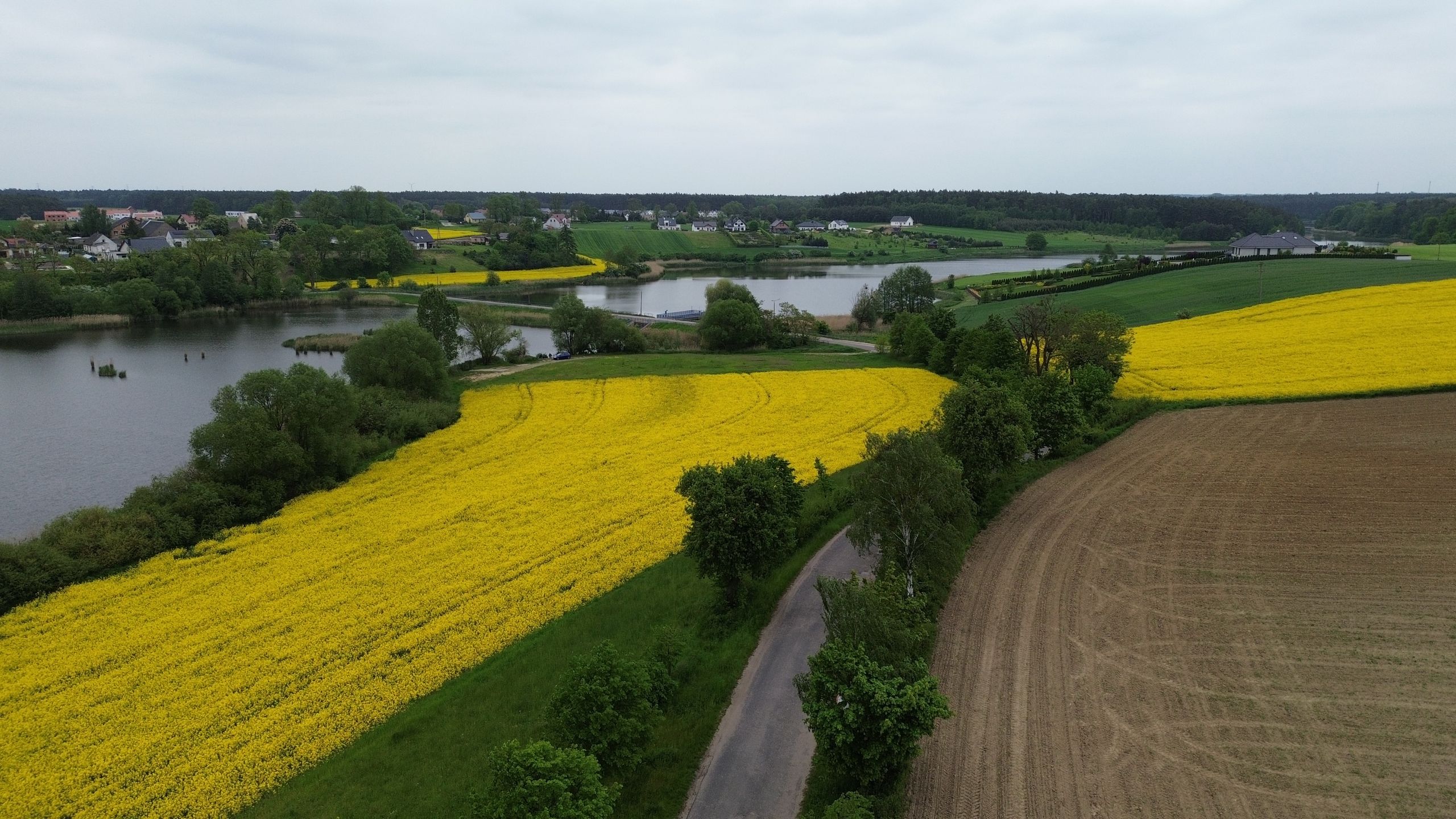 Dji Mini 3 - zdjęcie 12 MP