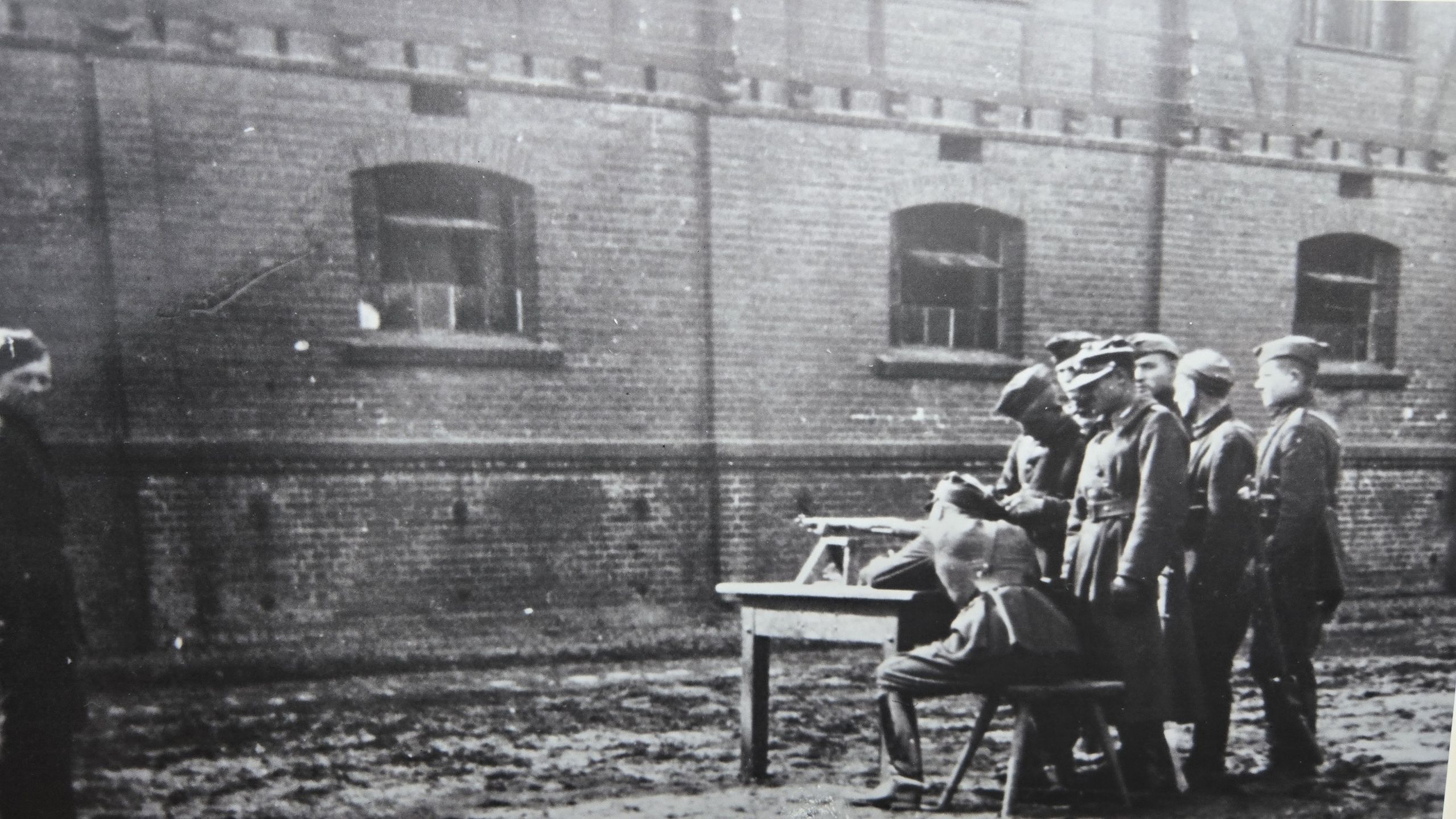 materiał prasowy Cavalia 