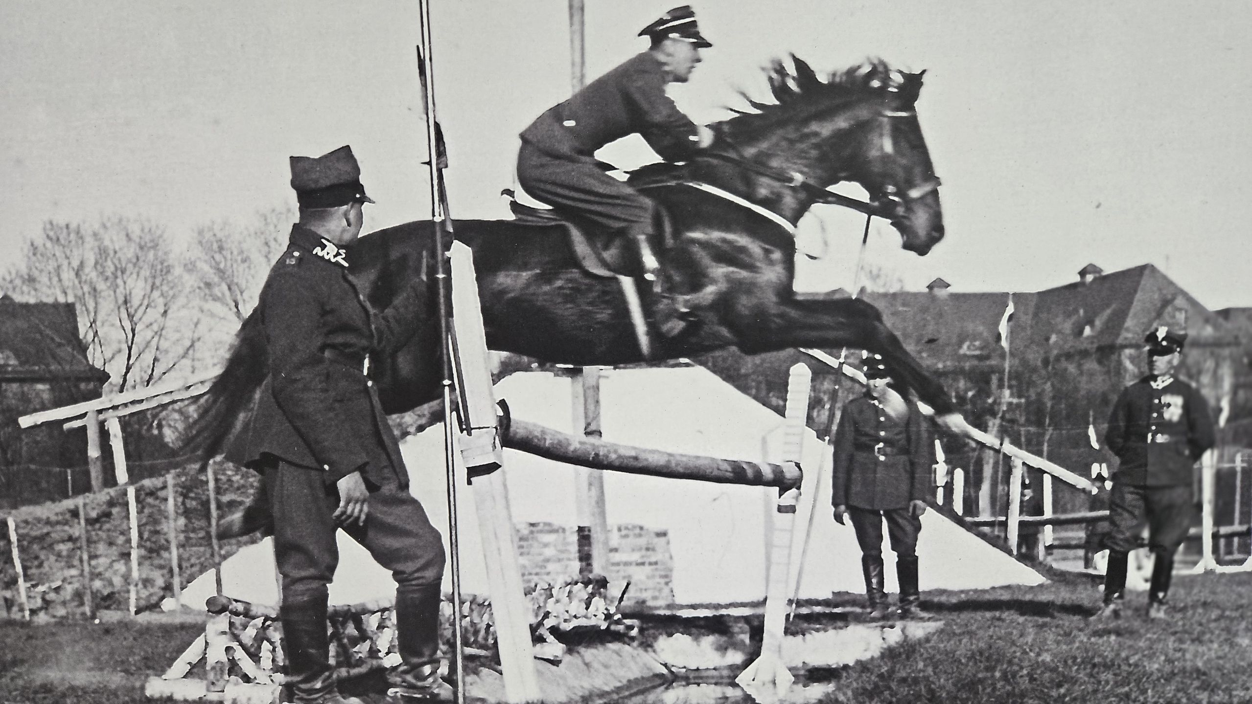 materiał prasowy Cavalia 