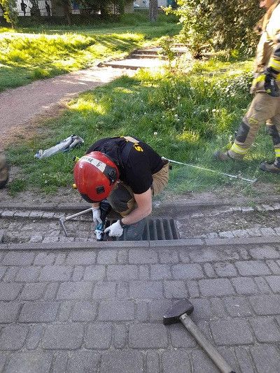 Kacze pisklęta wpadły do studzienki kanalizacji deszczowej na terenie Parku Zduny