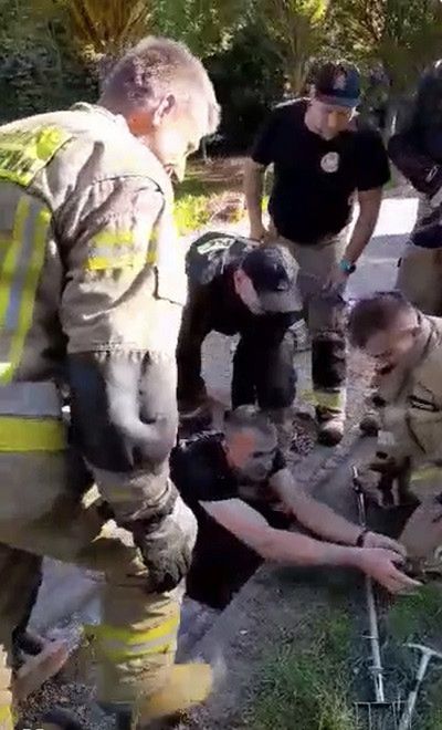 Kacze pisklęta wpadły do studzienki kanalizacji deszczowej na terenie Parku Zduny