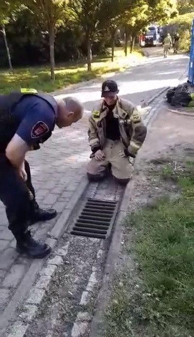 Kacze pisklęta wpadły do studzienki kanalizacji deszczowej na terenie Parku Zduny