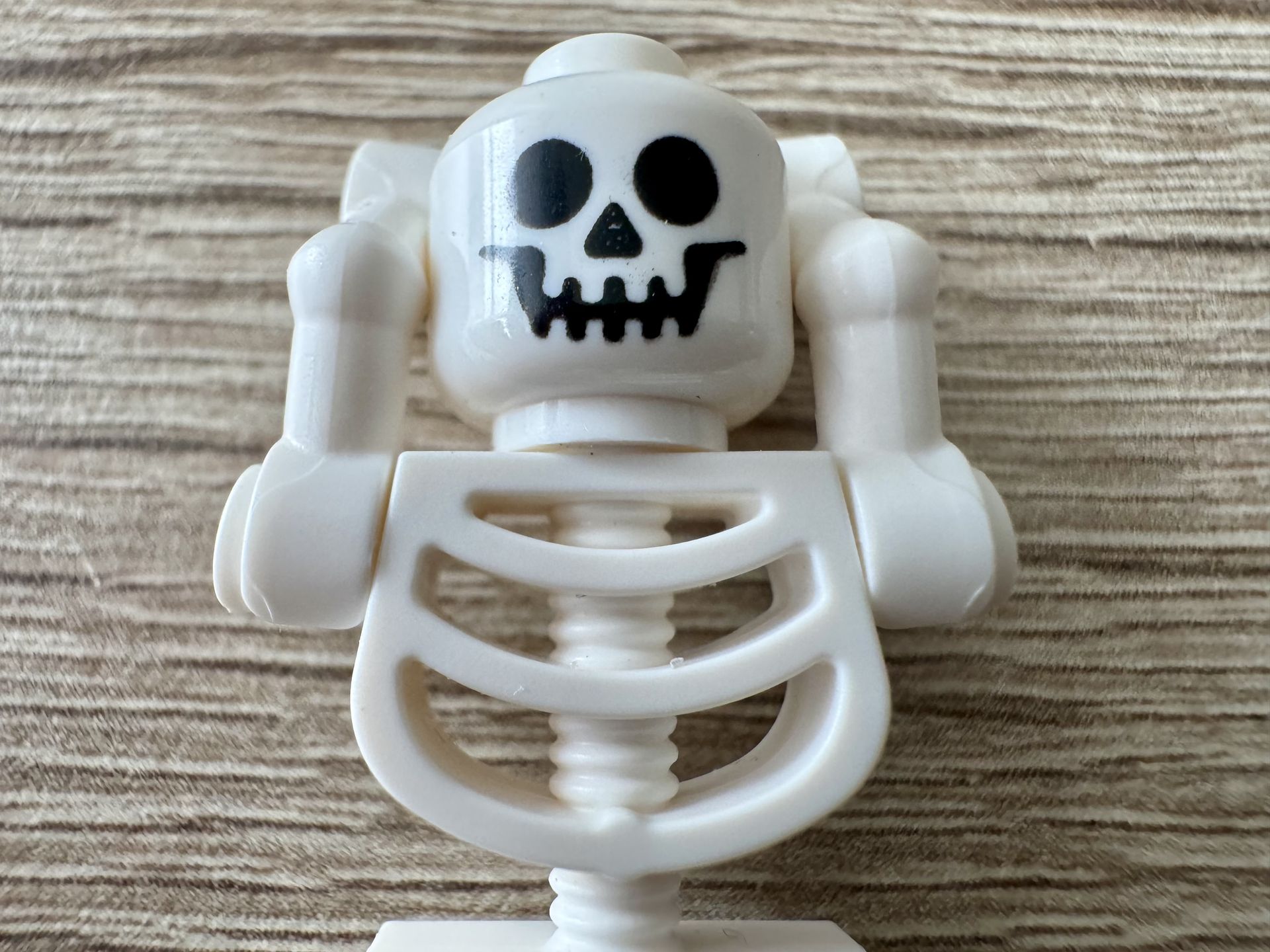 iPhone 15 Pro Max – fotografia makro. Dla porównania zdjęcie zrobione z tej samej odległości, co w przypadku nieostrego zdjęcia z bliska wykonanego iPhonem 15 Plus