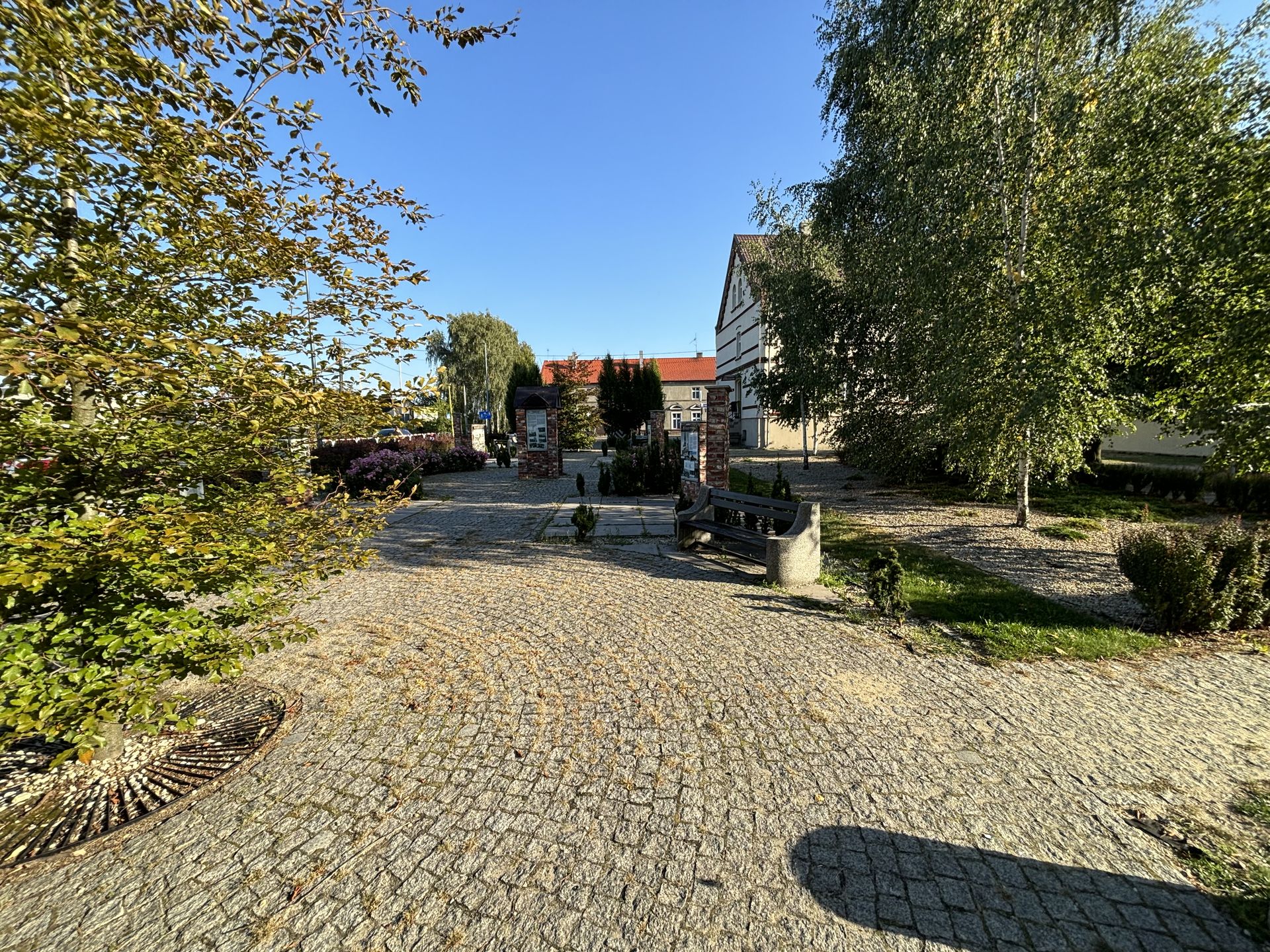 iPhone 15 - aparat główny (24 MP, 0,5x)