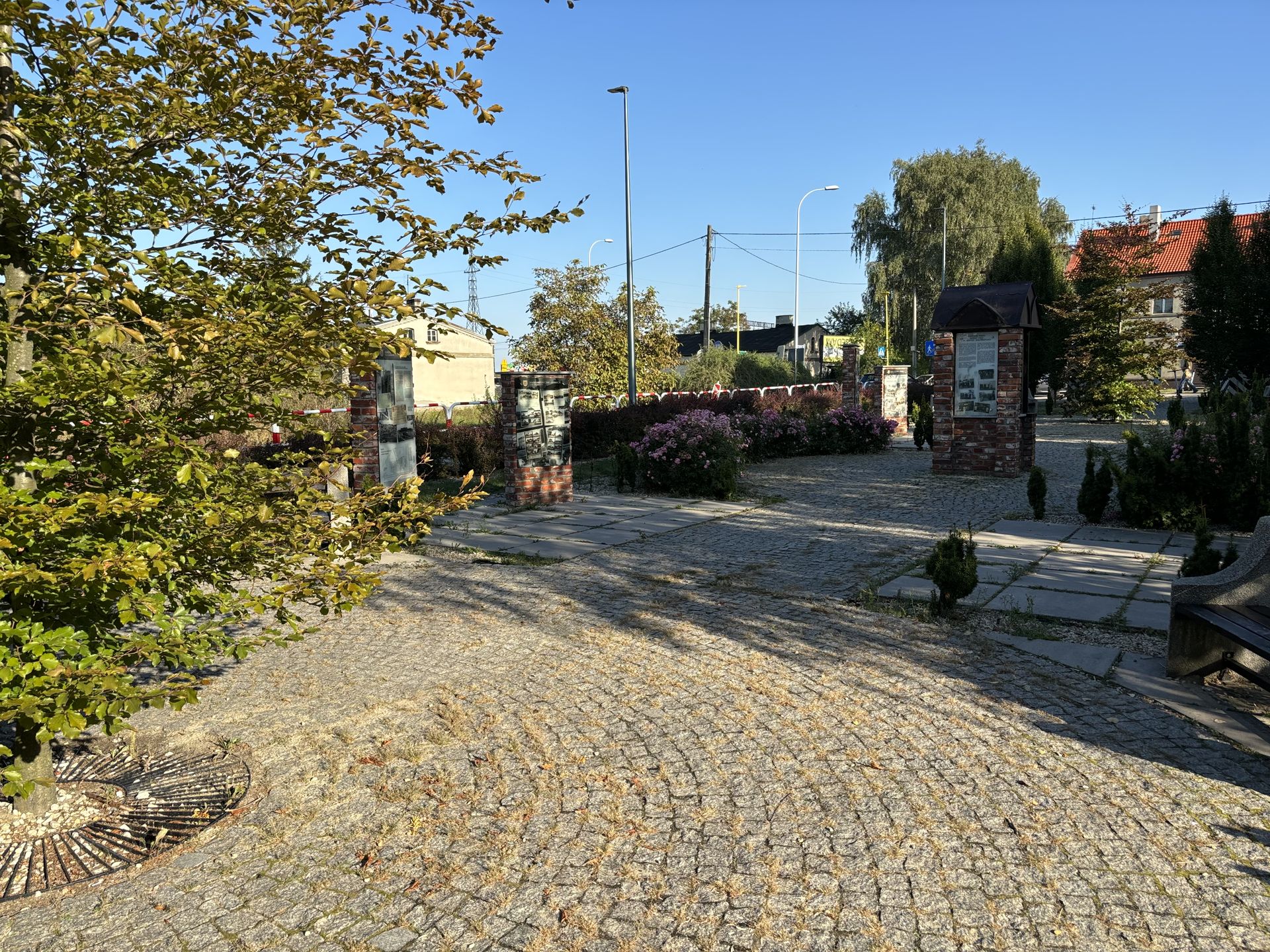iPhone 15 - aparat główny (12 MP, 1x)