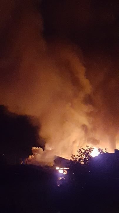 13695764_1203843689646413_492335169_n