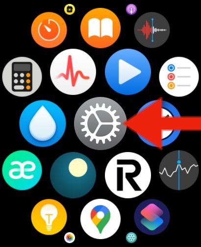 Apple Watch ustawienia