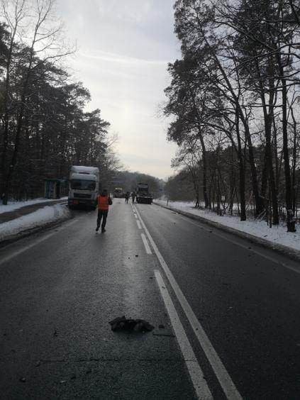Wypadek w Grabinie. Kierowca zasnął za kierownicą