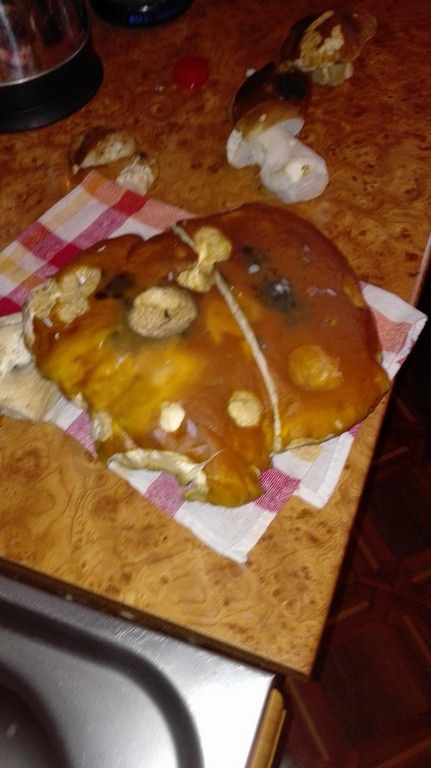 img_20161112_135800-kopiowanie