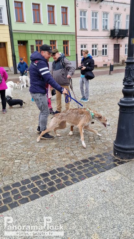 32. Finał Wielkiej Orkiestry Świątecznej Pomocy w Płocku