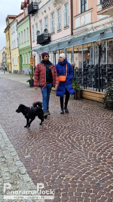 32. Finał Wielkiej Orkiestry Świątecznej Pomocy w Płocku