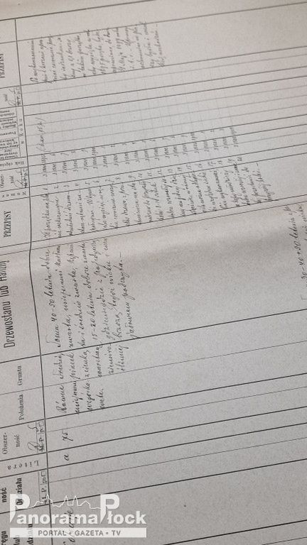 Okrągły Stół Leśny w Płocku