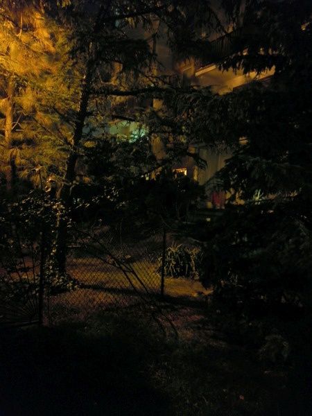 Honor 9X zdjęcie nocne ciemne otoczenie