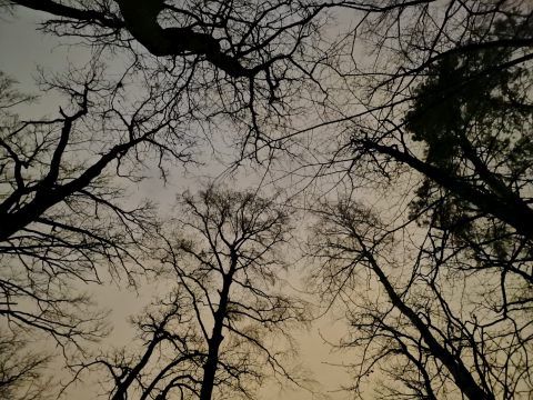 słabe oświetlenie Huawei Mate Xs
