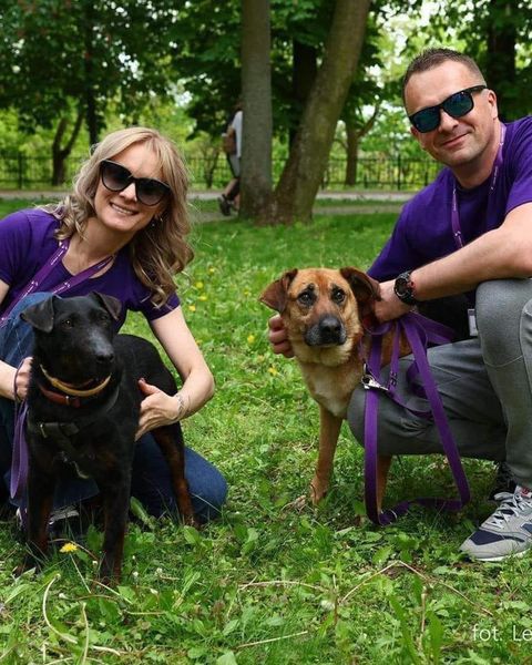 Wolontariusze z pieskami 