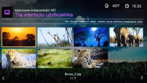 WD TV Live - tła interfejsu użytkownika