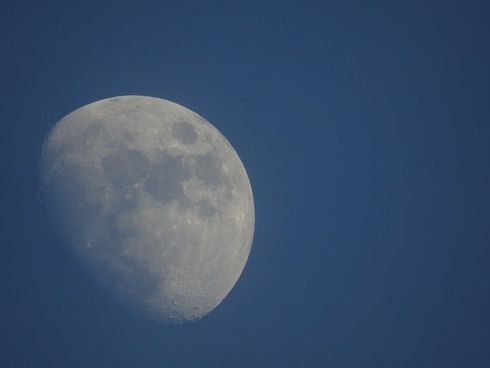 Nikon Coolpix P900 przykład 3