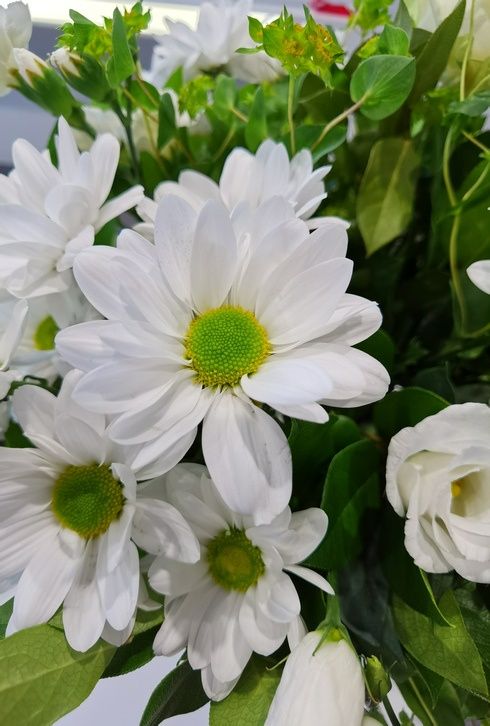 Huawei Mate 30 Pro kwiat ultraszeroko