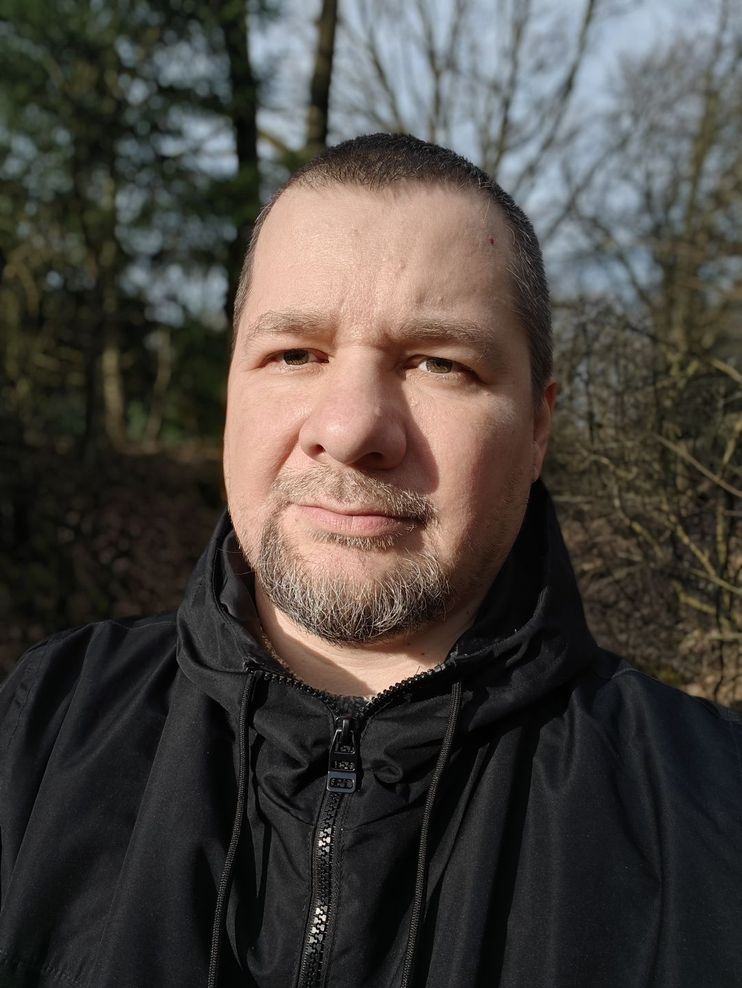 Obraz