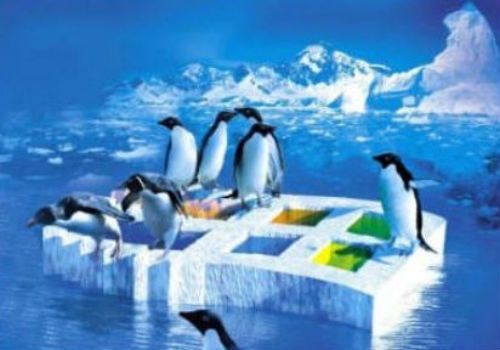 linux pingwiny migracja windows