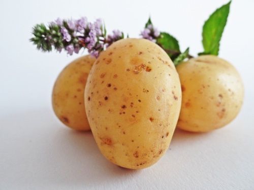Ziemniak w nagrodę