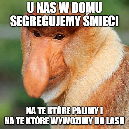 Janusz nosacz